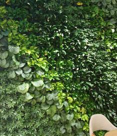立体绿植墙效果图